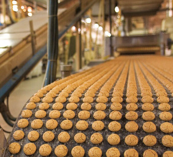 processo produttivo del Gruppo Vicenzi