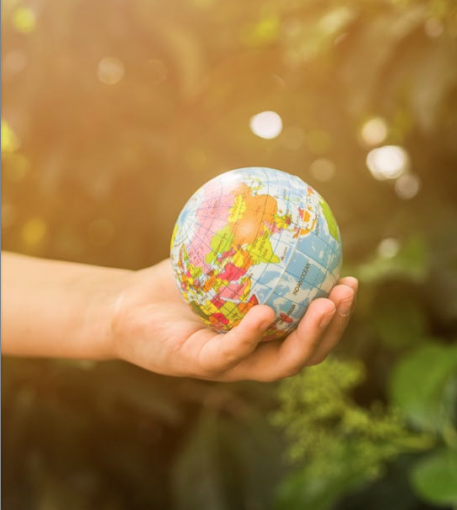 sostenibilità e identità di marca